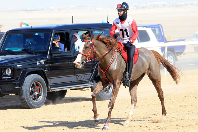 Al Mazroui wins National Day Endurance Cup